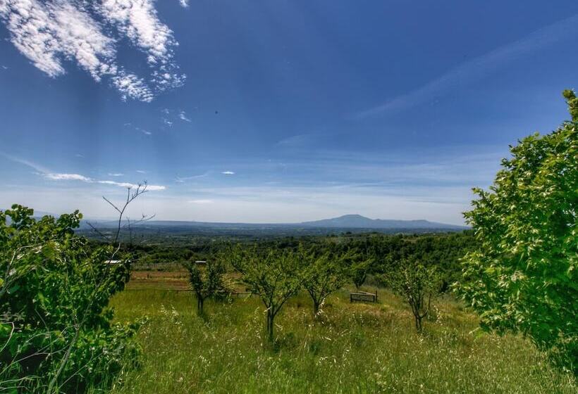 Modern Cottage In Graffignano Italy With Swimming Pool
