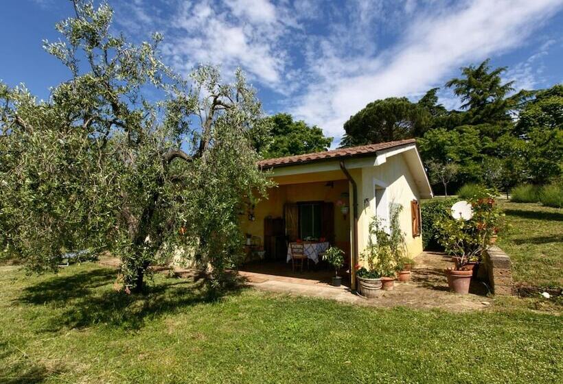 Modern Cottage In Graffignano Italy With Swimming Pool