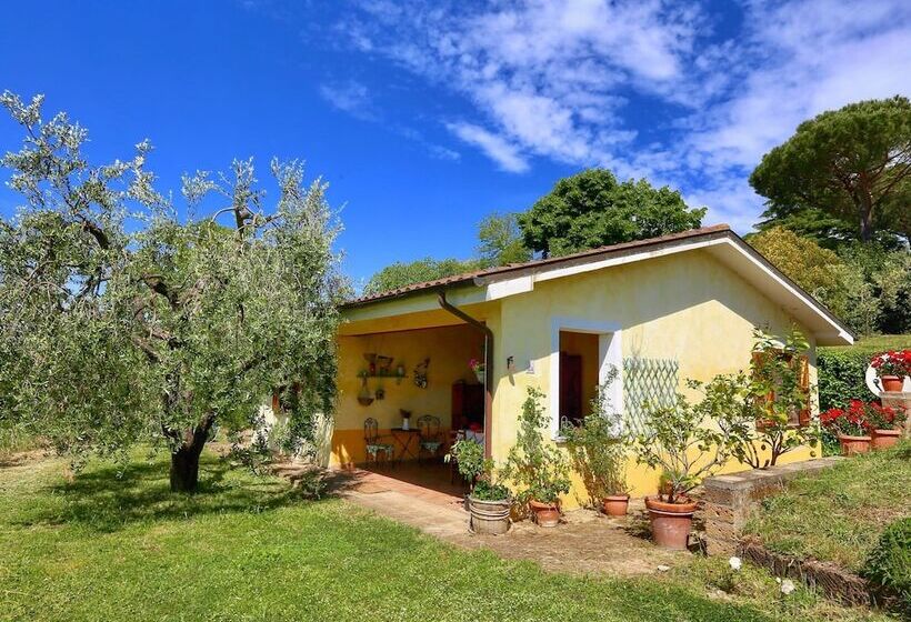 Modern Cottage In Graffignano Italy With Swimming Pool