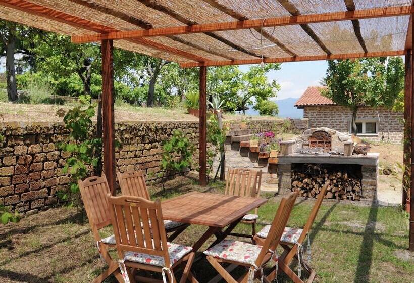 Modern Cottage In Graffignano Italy With Swimming Pool