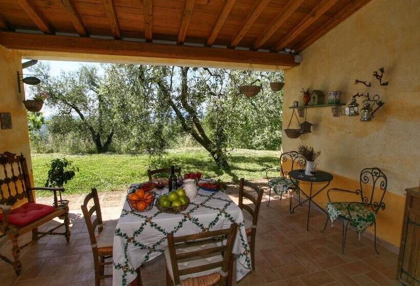 Modern Cottage In Graffignano Italy With Swimming Pool