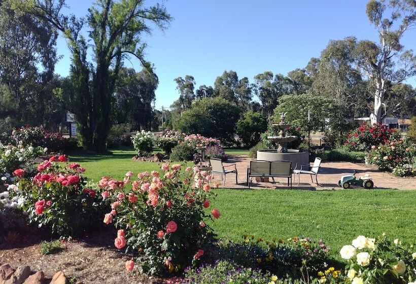 מוטל Newell Motor Inn Narrandera
