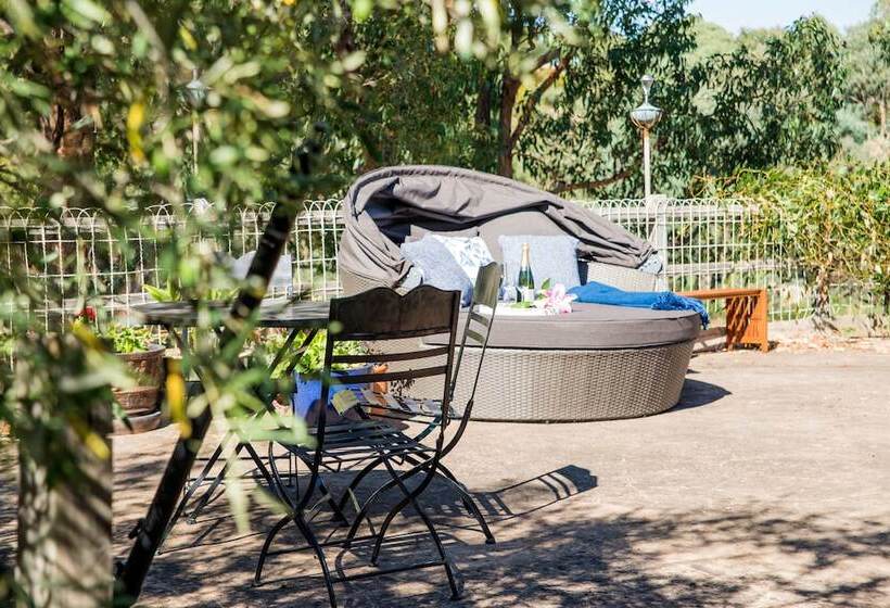 Oscars Private Spa Villa   Adults Only