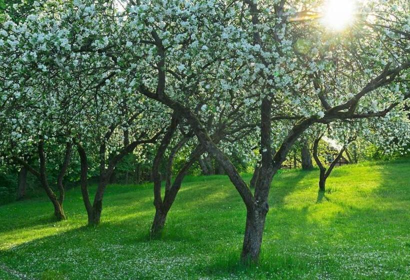 Park Am See, Hotel Sport Spirit