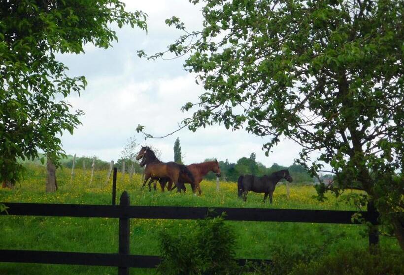 펜션 Au Mesnil Le Bas Bray