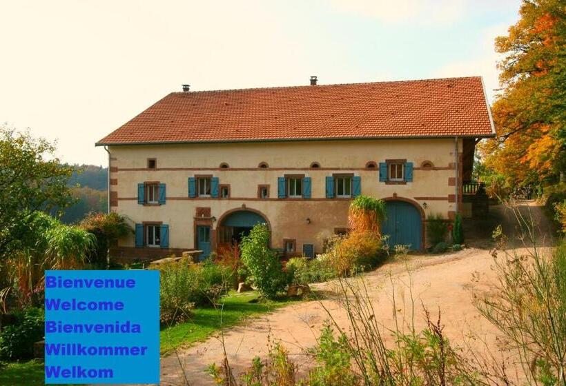 بنسيون Auberge Du Ruxelier