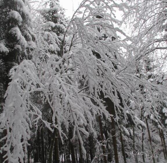 פנסיון B&b Au Fil Des Saisons Sur La Wiels