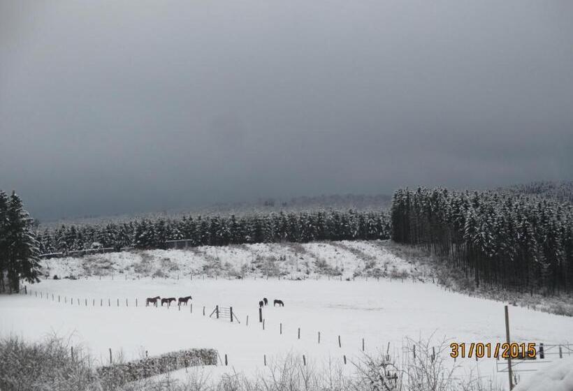 פנסיון B&b Au Fil Des Saisons Sur La Wiels