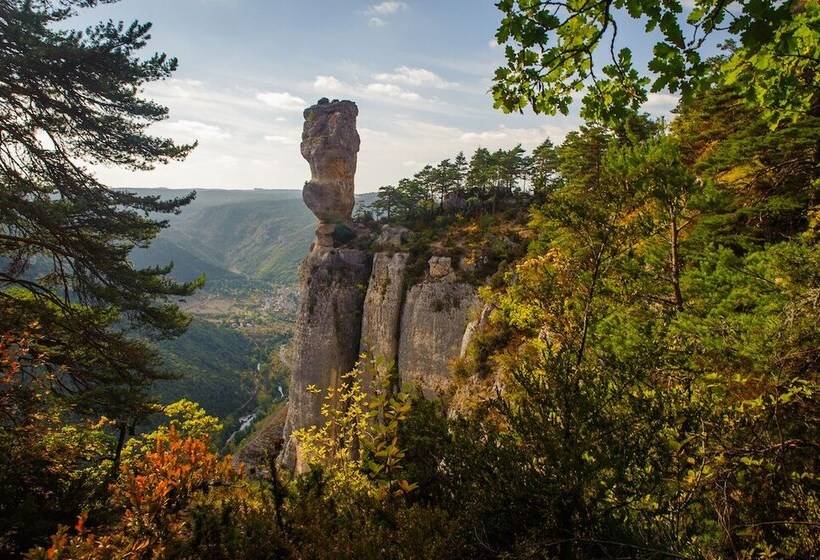 بنسيون Café De La Place