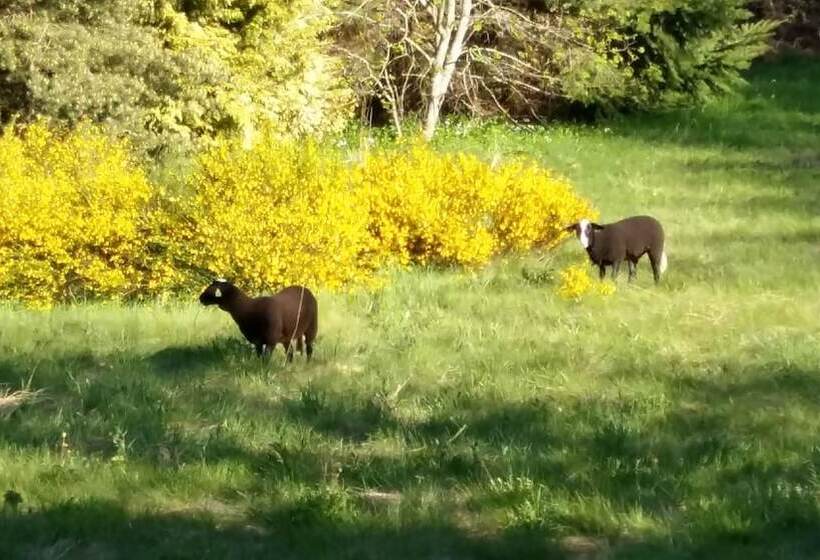 膳宿费 Chambre Et Table D’hôtes Le Fougal