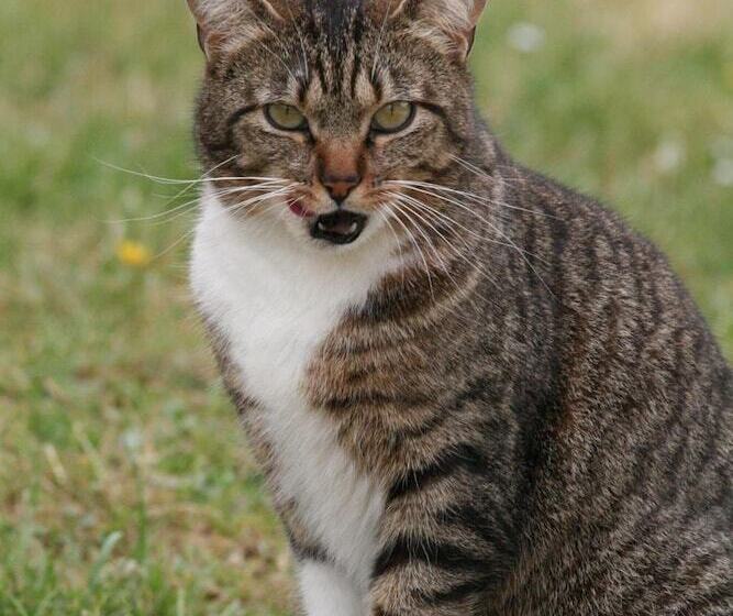 بنسيون Chambres D Hôtes La Petite Résie