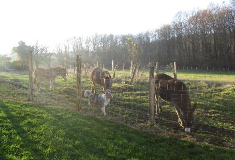 بنسيون Chambres D Hôtes La Petite Résie