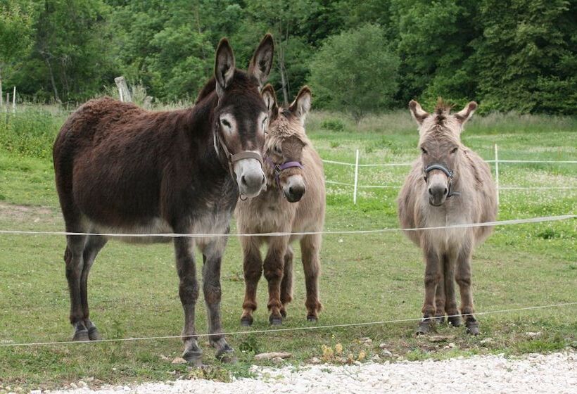 بنسيون Chambres D Hôtes La Petite Résie
