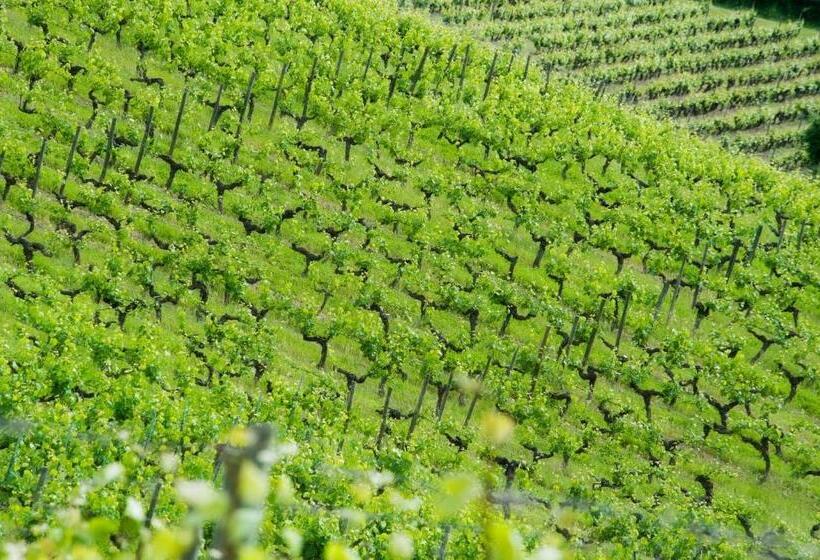 بنسيون Domaine De La Soucherie   Chambres D Hôtes