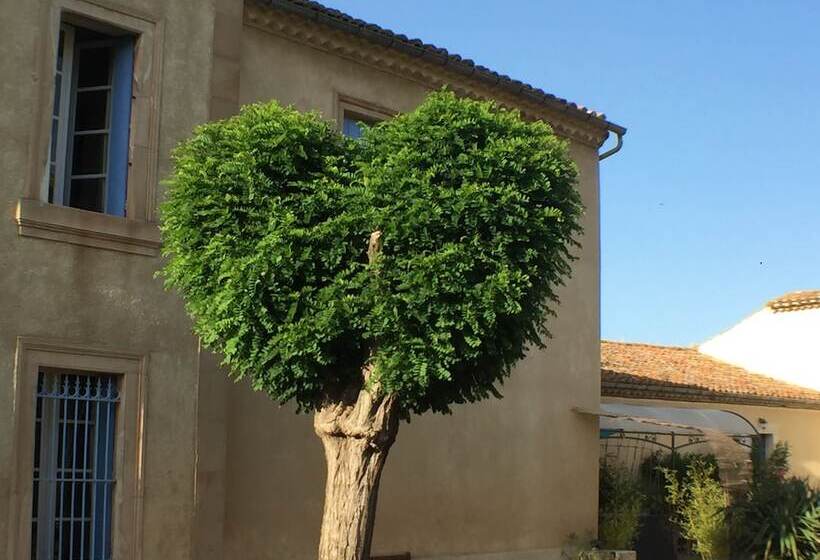 פנסיון Domaine Du Griffon