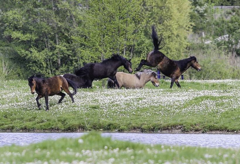 بنسيون Domaine Du Lieu Dieu