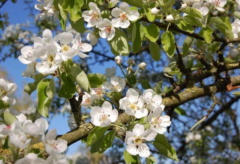 膳宿费 Landgasthaus Hoffmann