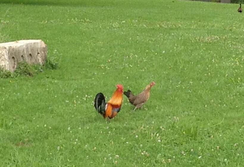 펜션 Le Colombier De La Graverie