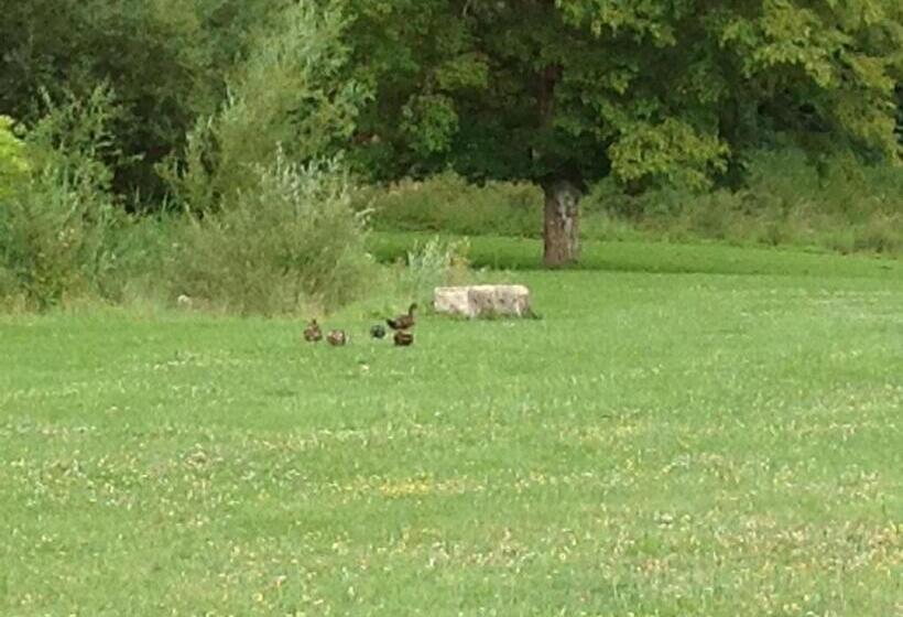 펜션 Le Colombier De La Graverie