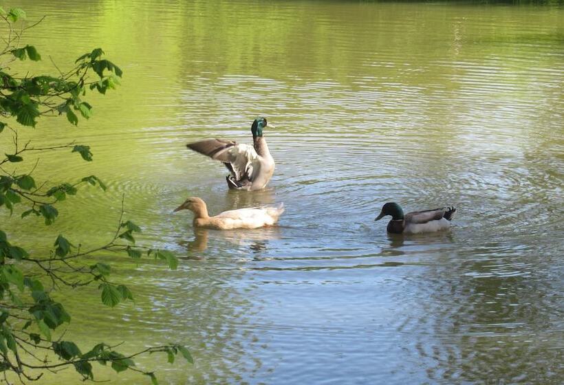 펜션 Le Moulin Calme