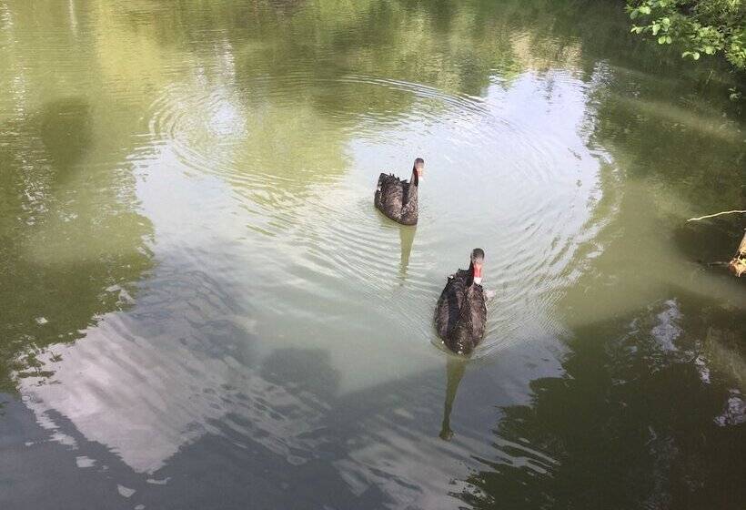 펜션 Le Moulin Calme