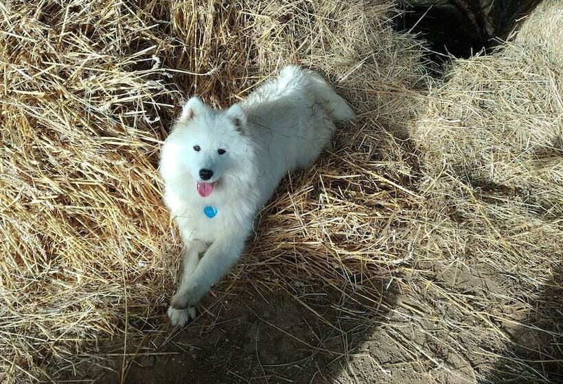 Пансион Les Clefs De L Argilière