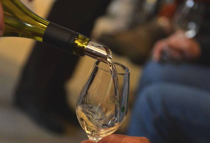 פנסיון Les Temps Perdus