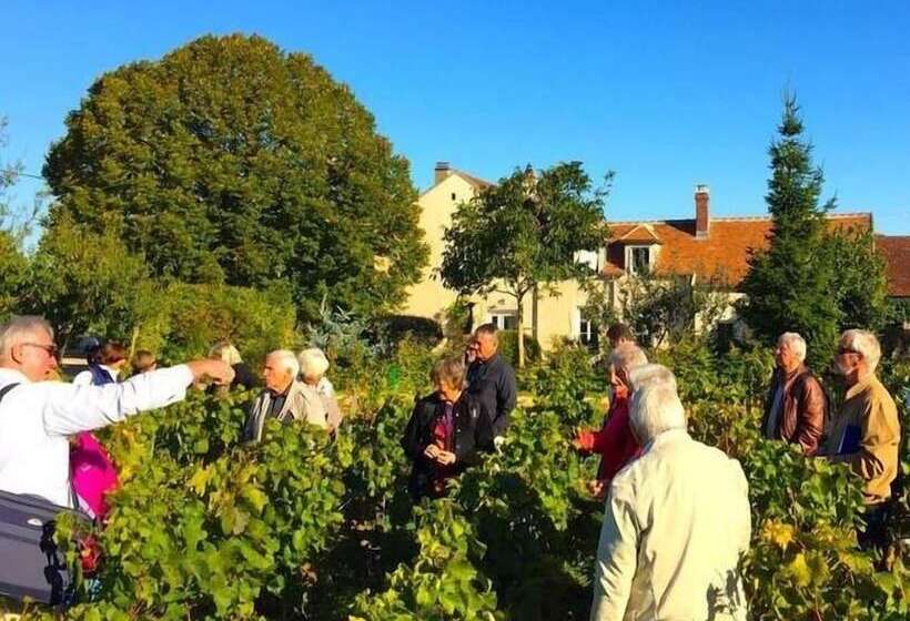 פנסיון Les Temps Perdus