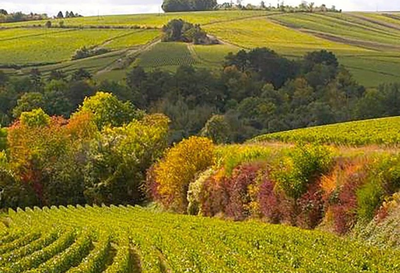 פנסיון Les Temps Perdus