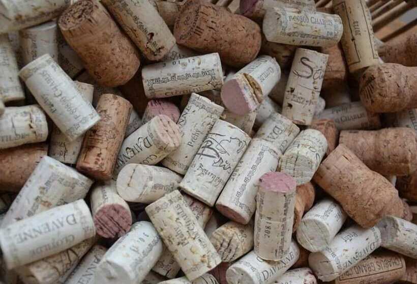 פנסיון Les Temps Perdus