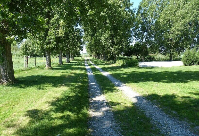 بنسيون Paardenhof Guesthouse