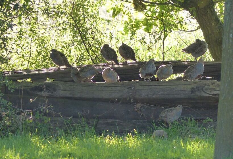 بنسيون Paardenhof Guesthouse