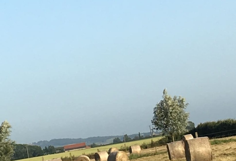 بنسيون Paardenhof Guesthouse