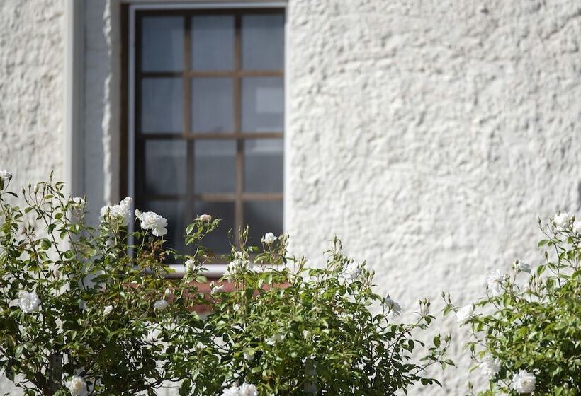 פנסיון The Nest At Gundaroo