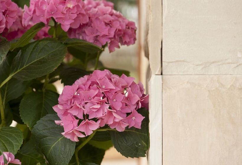 פנסיון The Nest At Gundaroo