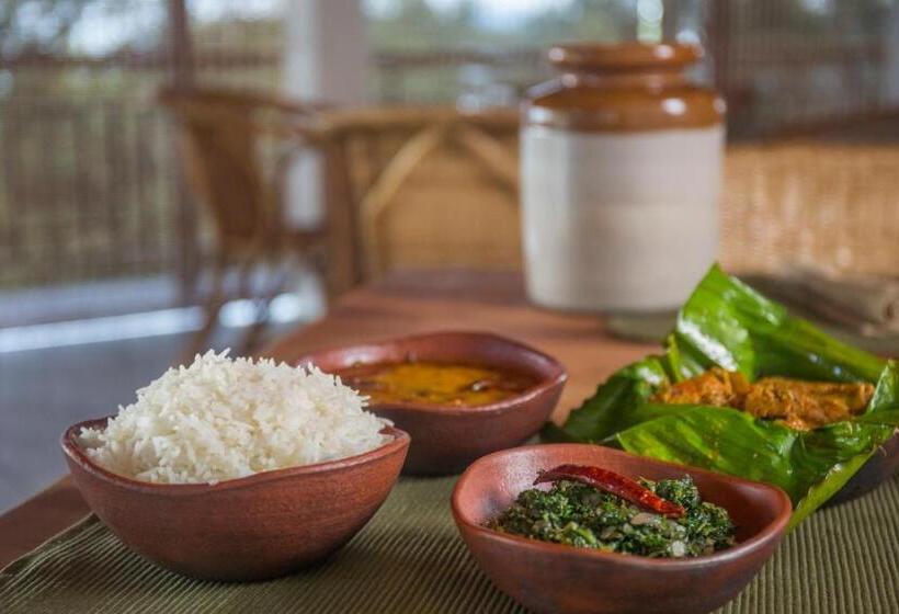 리조트 After The Rains Rainforest Lodge