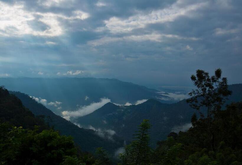 리조트 After The Rains Rainforest Lodge