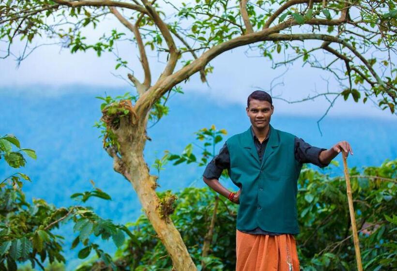 리조트 After The Rains Rainforest Lodge