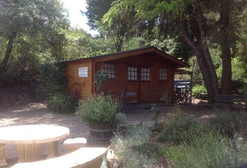 Sidsmums Travellers Retreat   Hostel