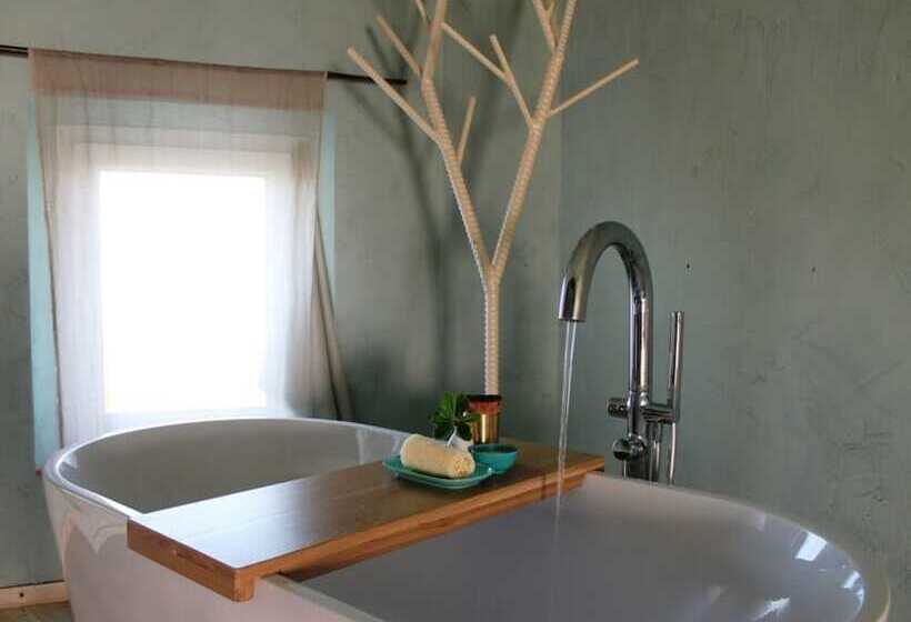 B&b Le Mas Turquoise   Spa Color Inclus