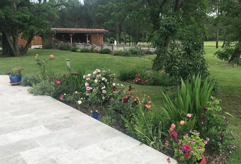 B&b Lou Castet De Lussolle