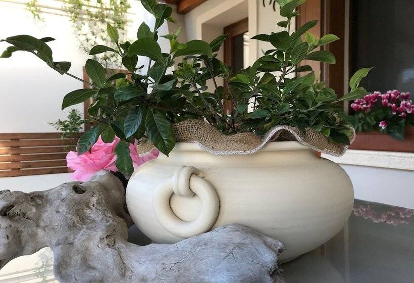 B&b Tenuta Della Duchessa