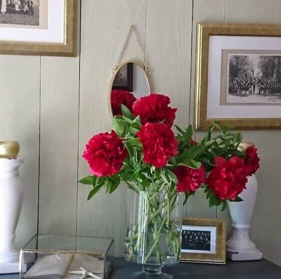 Bed and Breakfast Domaine De Bourgville