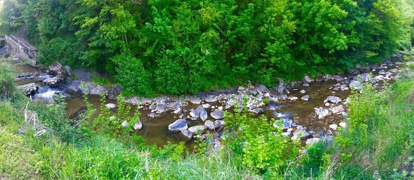 ベッドアンドブレックファースト Domaine Des Espinassières