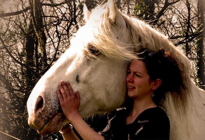צימר Une Roulotte Et Des Chevaux