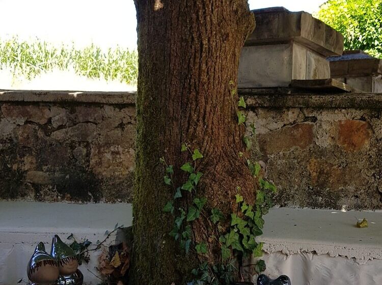 צימר Domaine Du Salabert