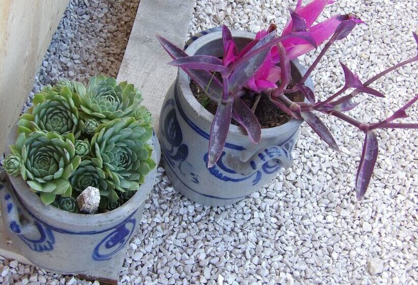 مبيت وإفطار Elément Terre