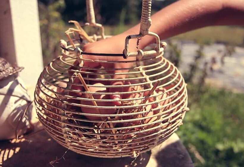 مبيت وإفطار Elément Terre