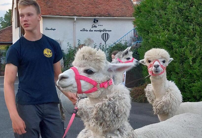 مبيت وإفطار Guest House Près Des Montgolfières