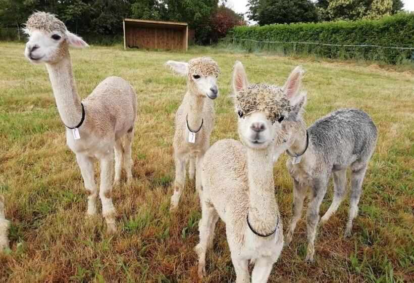 مبيت وإفطار Guest House Près Des Montgolfières